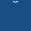 5007 5007