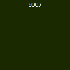 6007 6007